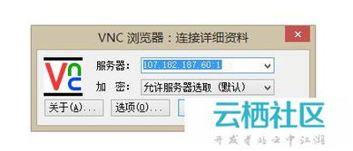 Vps一键安装vnc（vps一键安装vray要多久）