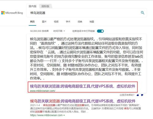 vps超级浏览器是做什么的（超级浏览器和vps的区别候鸟浏览器）
