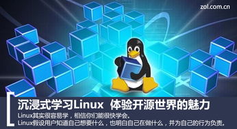 云主机安装linux面板（云服务器安装linux）