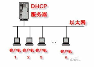 哪里有免费的服务器IP地址（国内服务器免费ip地址）