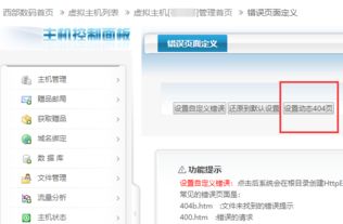 虚拟主机设置404（虚拟主机设置运行目录）