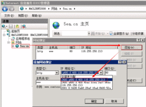 ipv6服务器怎么连（ipv6服务器怎么连接ssh）