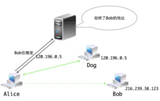 香港vps用什么dns解析（香港dns的服务器地址是多少）