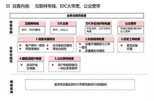 idc故障记录平台,idc业务故障处理原则