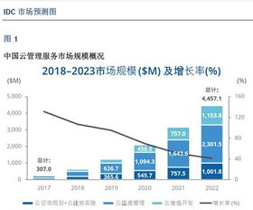 idc云管理服务（IDC云服务）