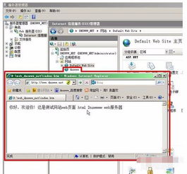 服务器iis中如何配置网站（iis配置网页）