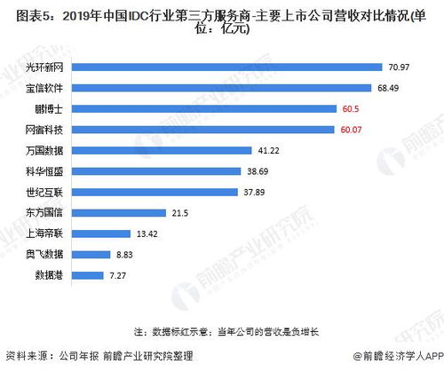 中国idc行业市场前瞻（国内IDC市场）