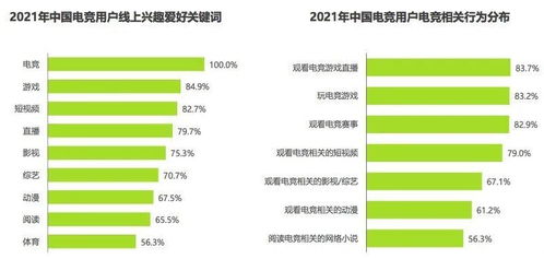 影视网站空间有多大