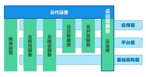 移动公司集客与idc关系（移动idc是什么业务）