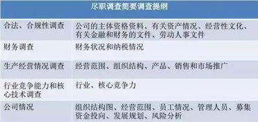 idc投资建议书