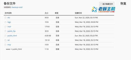 老薛虚拟主机（老薛虚拟主机可以搭建pbootcms吗）