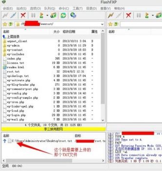 网站空间根目录是什么,网站根目录是啥意思