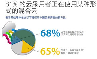 idc云计算专职律师,云计算分析师