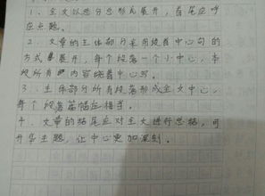 八百字作文高中，自我介绍八百字作文高中