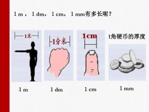 怎么测量脖子长度图解，怎么测量脖子长度图解视频