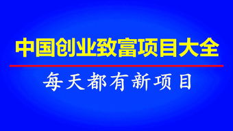 致富项目大全，做什么项目比较挣钱