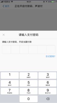 付款码怎么设置密码，微信付款码怎么设置密码