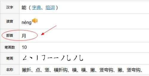 能的部首是什么，能部首是什么部首