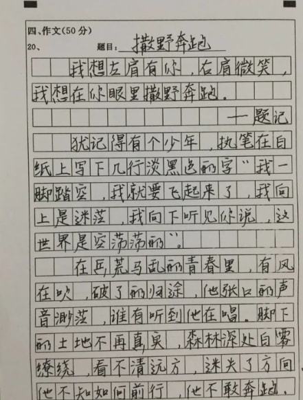 懂你 作文600字