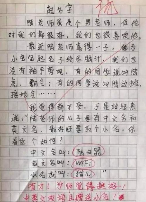 关于眼神的作文600字5篇