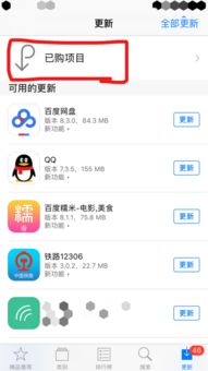 苹果app消费记录查询，苹果app消费记录查询显示为什么是0元