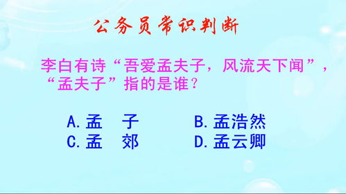 孟夫子指的是，孟夫子指的是谁李白诗中的