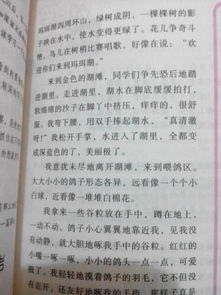 周记四百字，周记四百字作文