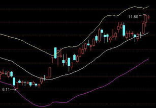 布林线参数，布林线参数看26准还是20准