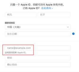 苹果id账号格式，苹果id账号格式icloud