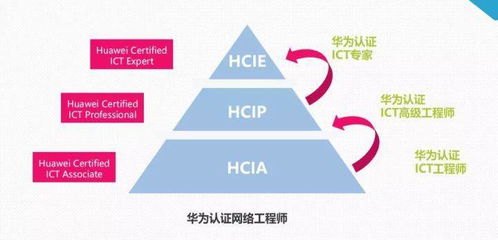 软考(网络工程师)难吗?