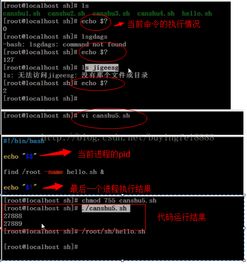 linuxshell编程，linuxshell编程教程