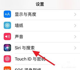 手机怎样设置siri?