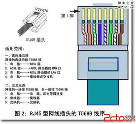 线序网线，网线排线顺序