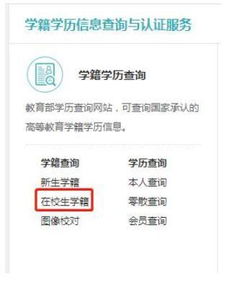 学号是什么，学号是什么怎么查