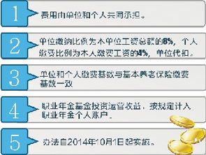 事业单位职业年金查询，河南机关事业单位职业年金查询