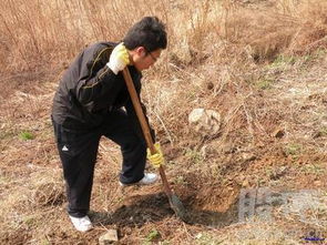 梦见挖坑，梦见挖坑什么意思