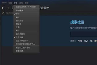 steam无法加好友，steam无法加好友怎么回事