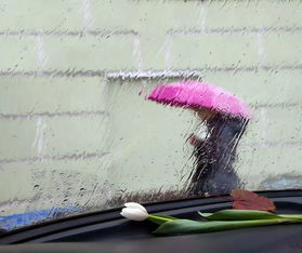 梦见下雨了，梦见下雨了被雨淋了什么意思