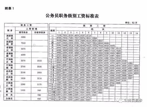 职级怎么填?