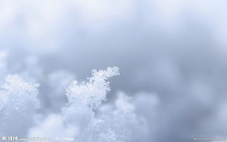 晶莹意思，珠烁晶莹意思