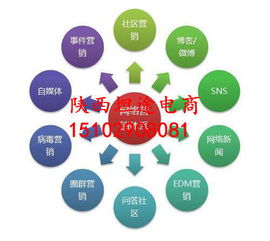 网络营销平台建设，网络营销平台建设情况分析