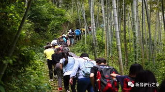 陈叔同，陈叔同简介的生平