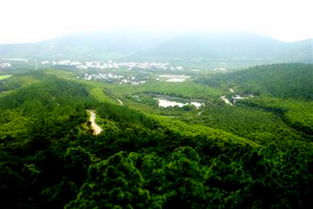 旺山景区，旺山景区旅游攻略