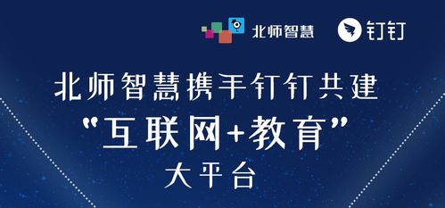 智慧学伴怎么查看账号