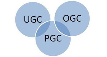 UGC 是什么?