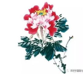 牡丹花怎么画简笔画