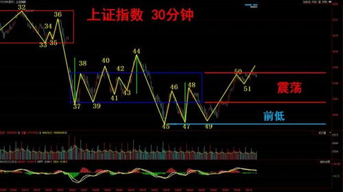 大盘股什么意思