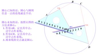 已知圆的周长,怎样求圆的直径或半径呢?依据是什么?