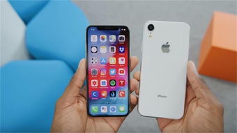 iphonex和xs区别大吗?