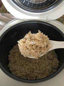 rice是什么意思